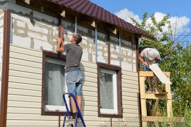 Best Fascia and Soffit Installation  in Arlington, NE