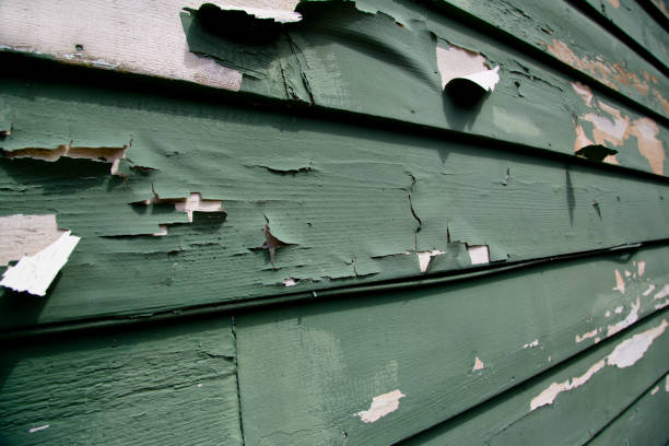 Best Custom Siding Design  in Arlington, NE