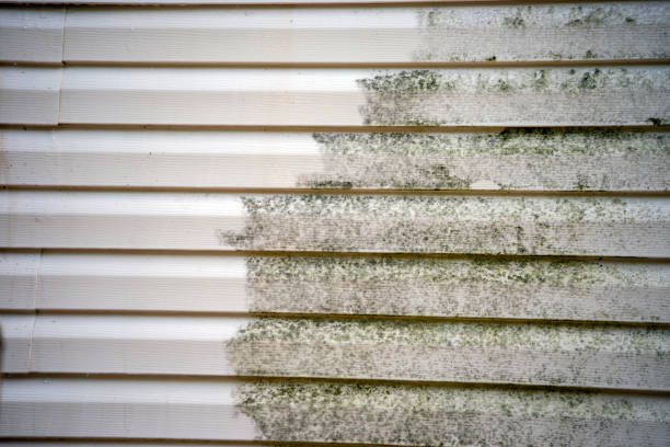 Best Insulated Siding Installation  in Arlington, NE