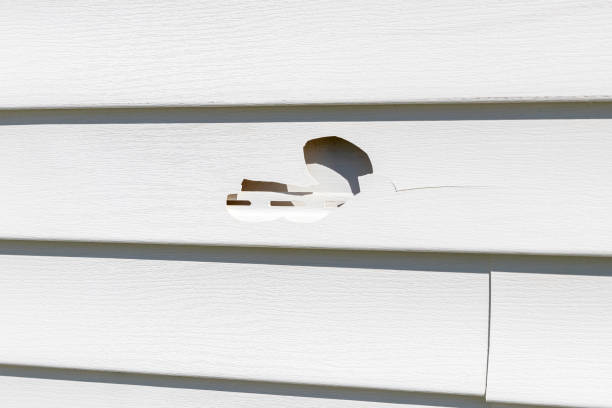 Best Storm Damage Siding Repair  in Arlington, NE