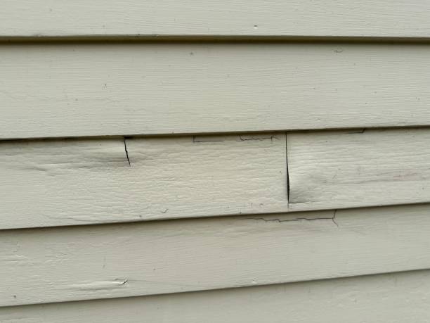 Best James Hardie Siding  in Arlington, NE